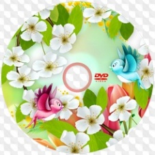 Spring holiday in kindergarten, DVD cover, DVD disk, 2 PSD, 2 PNG. PSD ...