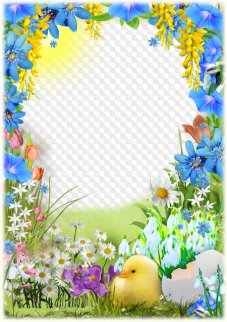 Photo frame spring