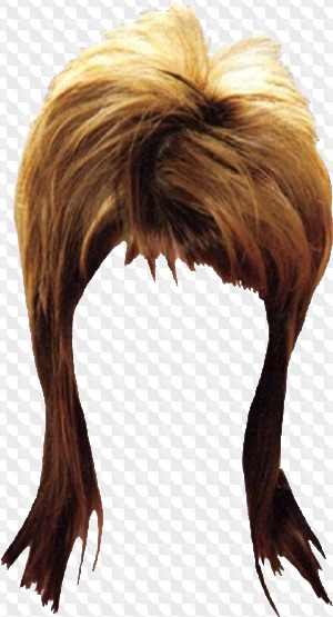 14 Psd 451 Png Hair Hairstyles Wigs Mens Hairstyles Womens