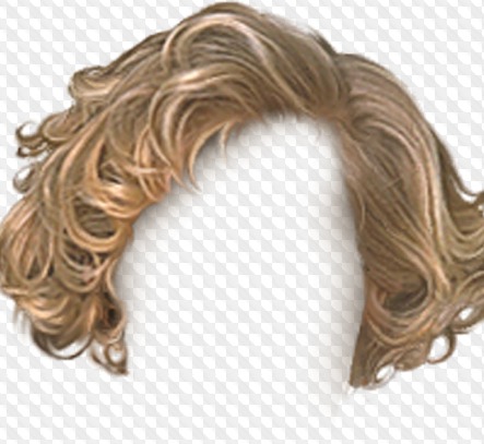14 Psd 451 Png Hair Hairstyles Wigs Mens Hairstyles Womens