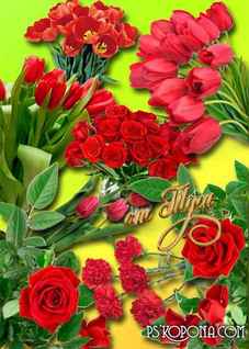 PSD, 8 PNG, Roses, tulips, carnations, Gentle and red flowers, images with transparent background