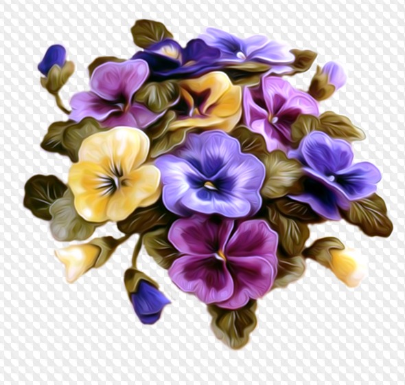 25 PNG, Violets, graphic, flowers with transparent background