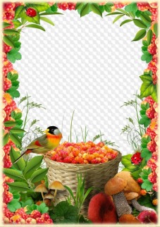 PSD, PNG, Photo frame, Cloudberry