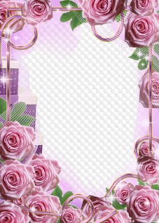 Free layered Psd, photo frame card with luxury pink roses