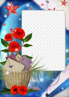 Red poppies, horizontal photo frame on 2 photos