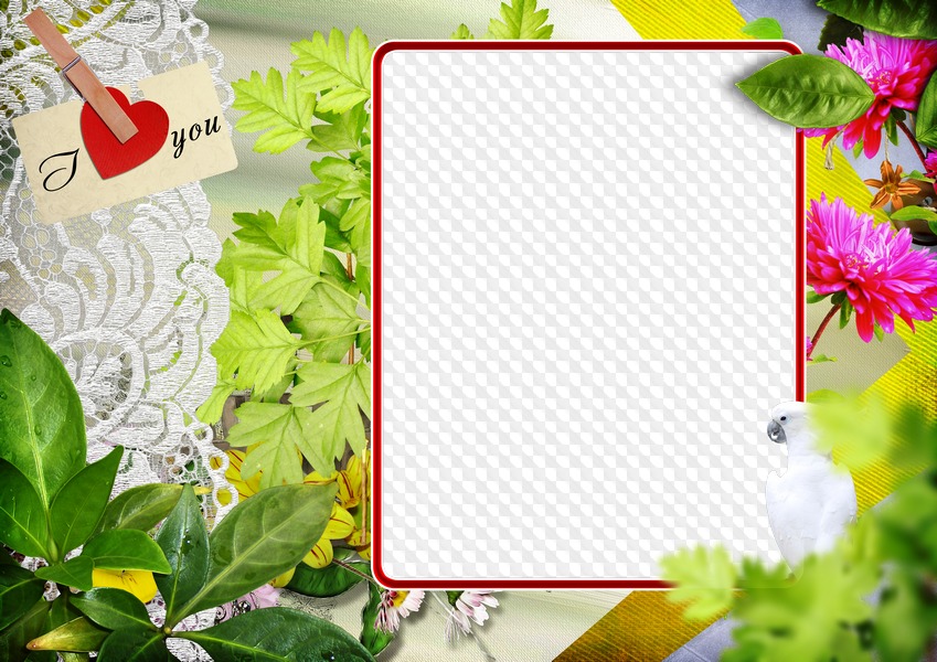 I Love You Photo Frame Template Transparent Png Frame Psd Layered Photo Frame Template Download
