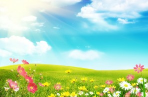 Fondos Para Los Ninos De Verano