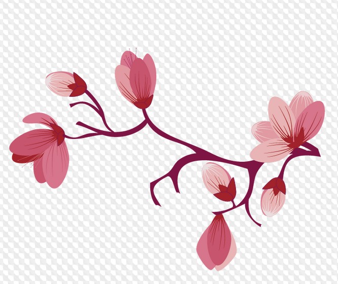 55 PNG, Сакура на прозрачном фоне