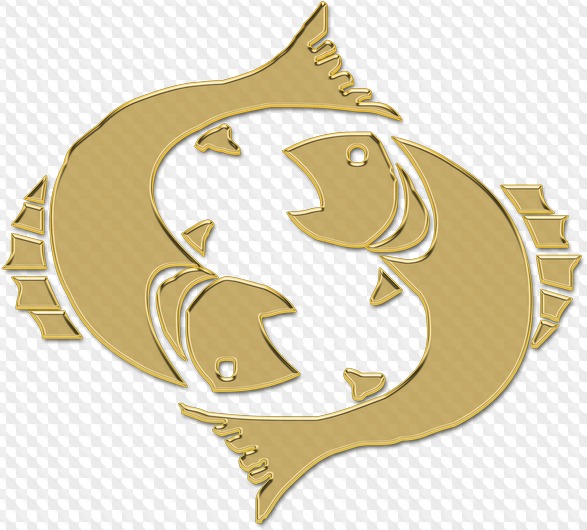 Золотая рыбка с короной. Золотая рыбка ювелирные изделия. Золотая рыбка на удачу. Рыбки. Две рыбы.