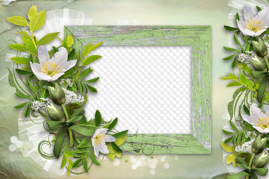 6 PNG, Фоторамка, Весна, Цветы