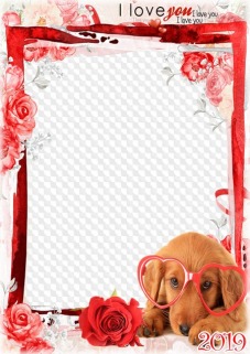 Love frames png, psd