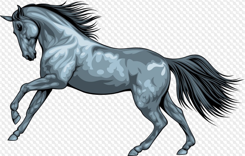 Horse 216 PNG Images