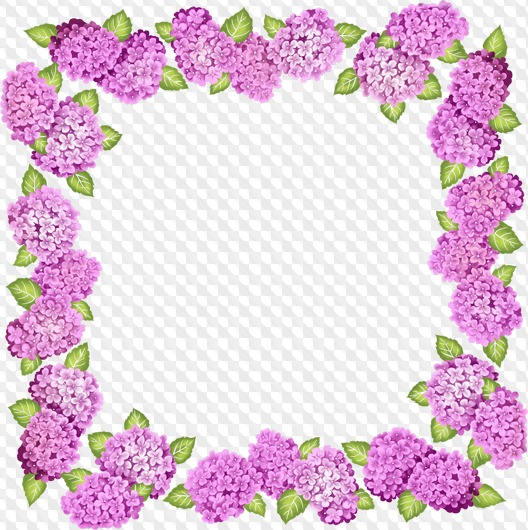 42 png, marco con flores, clipart con marco floral sobre fondo transparente