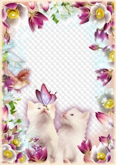 Elegant Flower frame for March 8 template, PSD, PNG