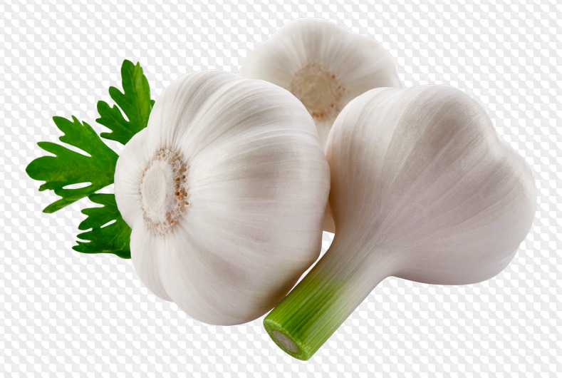 Vegetables png on a transparent background ( free 45 png images download )