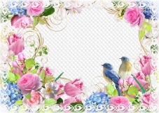 Pink roses and blue and white birds photo frame, template PSD, PNG