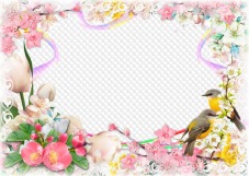 Flowers and birds, picture frame, template PSD, PNG