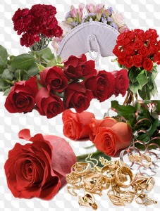 PSD, six PNG, Roses on transparent background