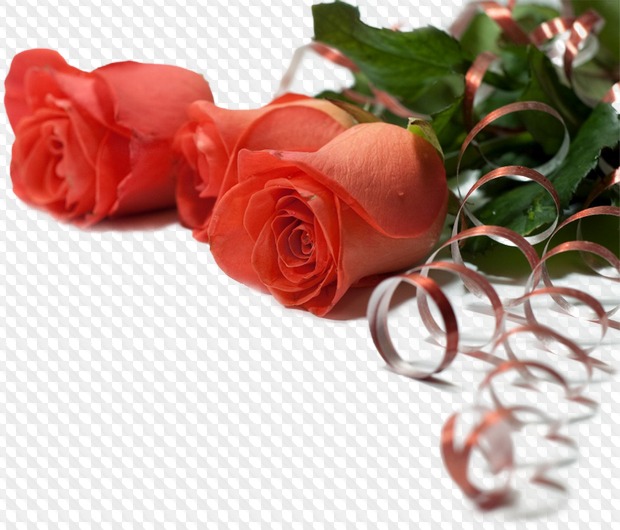 PSD, six PNG, Roses on transparent background