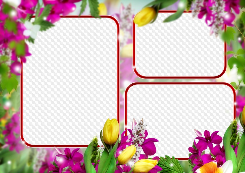 Triple photo frame with flowers, template in PSD and PNG format