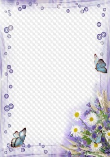 PSD, Three PNG, Spring Flowers and Butterflies, Photo Frames for Photoshop