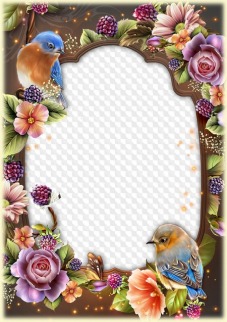 Flowers and Birds, Romantic Photo Frame, PSD, PNG