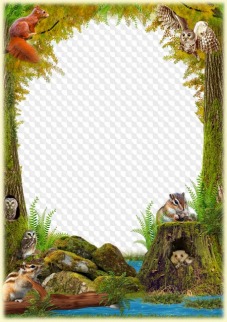 Fairy Forest photo frame collage ( free nature frame psd frame png ...