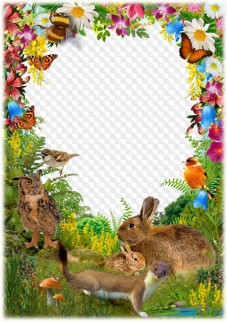 Forest animals and birds in the forest, photo frame