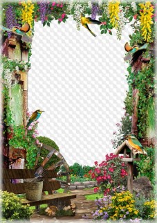 Frames - The echo of lilac mist swirled lilies in the garden