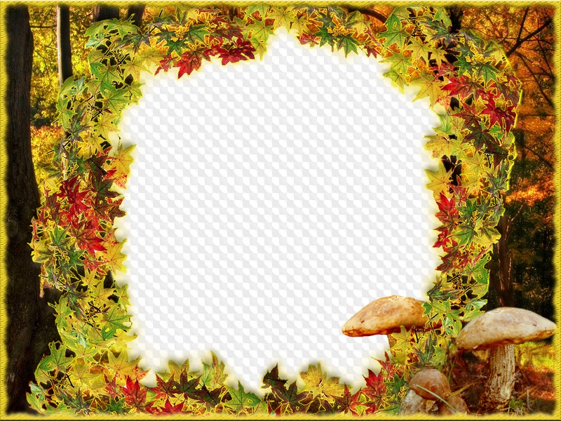 11 Nature photo frames PNG