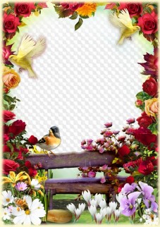 Beautiful birds and flowers, photo frame