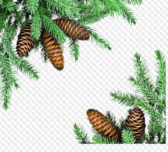 ����� ��� � ������� ��������