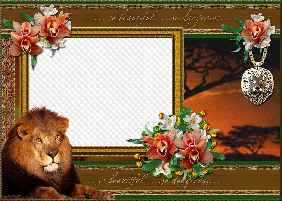 Africa with lion, Dangerous Beauty, photo frame