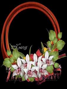 Updated: Round frames with orchids PSD, 3 PNG, images on transparent background