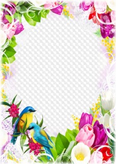 PNG, PSD, Birds and tulips, photo frame