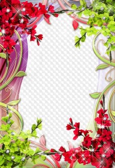 Updated: Flower Picture Frame, Gladiolus