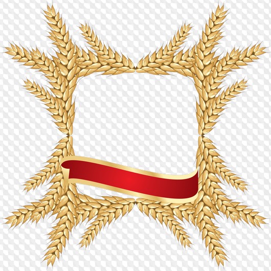 30 PNG, зерно PNG, злаки PNG, орехи PNG, желуди PNG изображения на ...