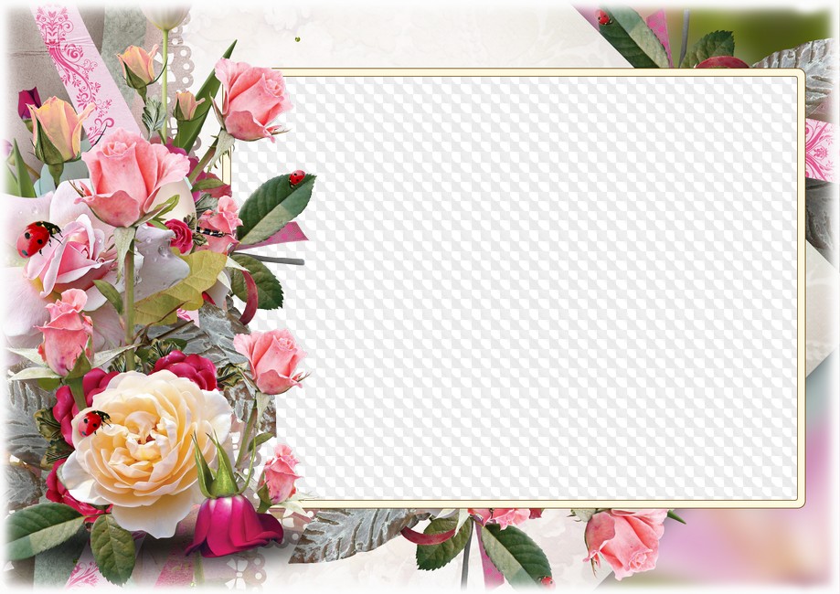 PSD, PNG, Beautiful roses, Beautiful Photo frame template