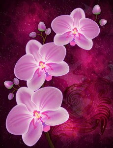 PSD background, Gentle orchids, like the fabulous fairies