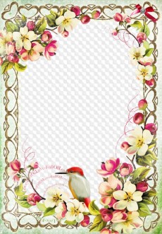 Frame photo with the flowers - Spring, Spring. As the air is clean ...