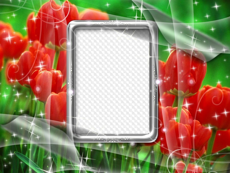 Calendrier 2023 Pixiz Free Photoshop Photo Frame Psd With Tulips - Spring Is Coming