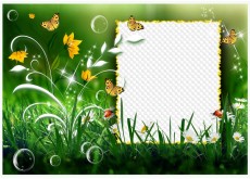 Exotic nature photo frame