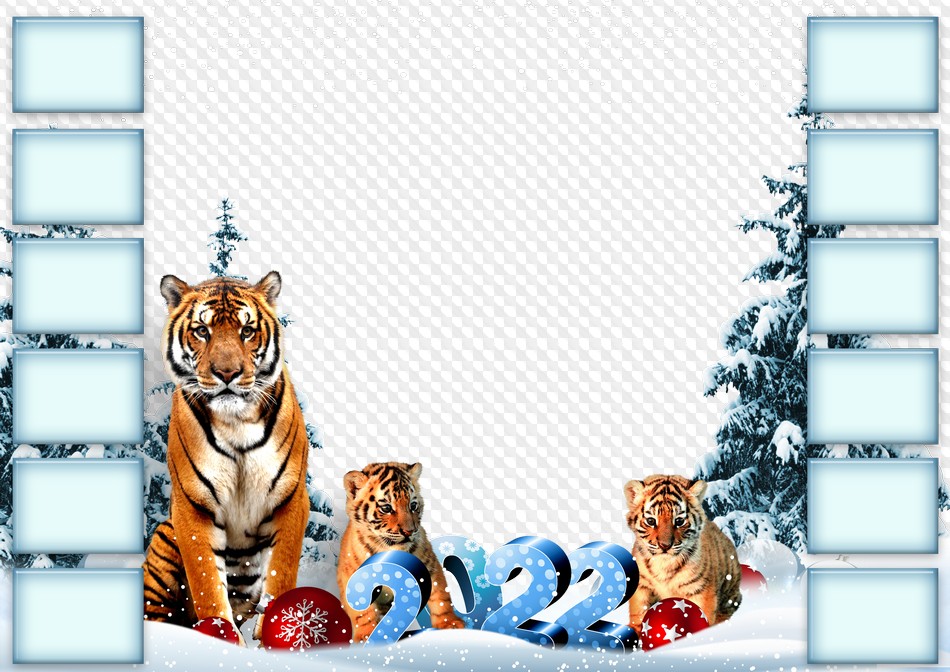 Новогодний Тигр Png Новогодний Тигр Png