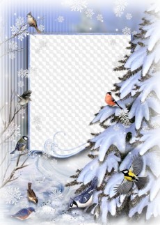 Free collage photo frame for photoshop - winter birds on the nature near the tree