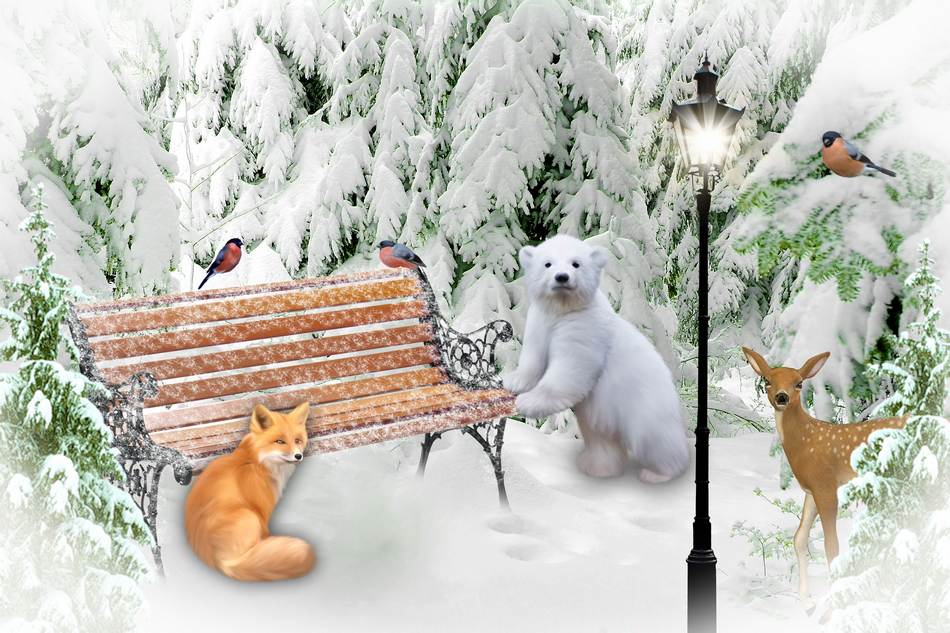 Winter collages psd photo frame png Winter Adventure ( free 2 collage