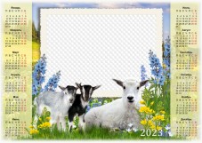 Милые козочки, Календарь 2023 PNG, PSD, JPG