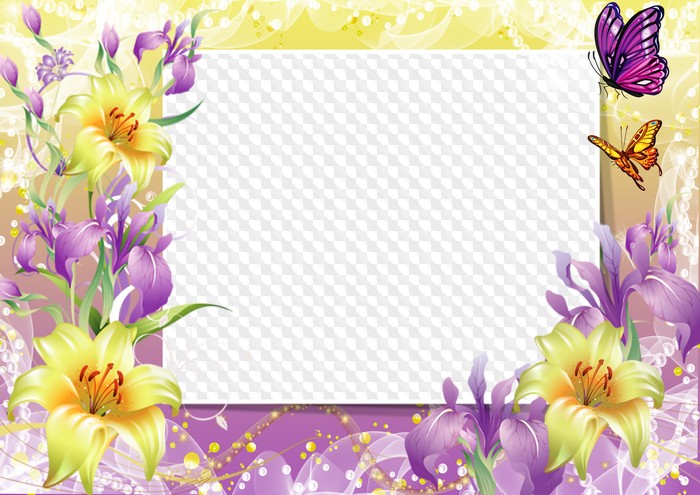 Gamour Frame Glamour photo Frame