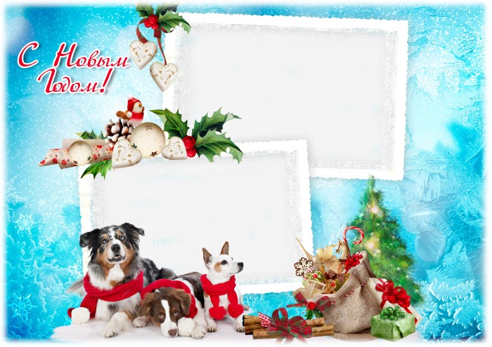 Free PSD Frame for photo PNG Image - Happy New Year