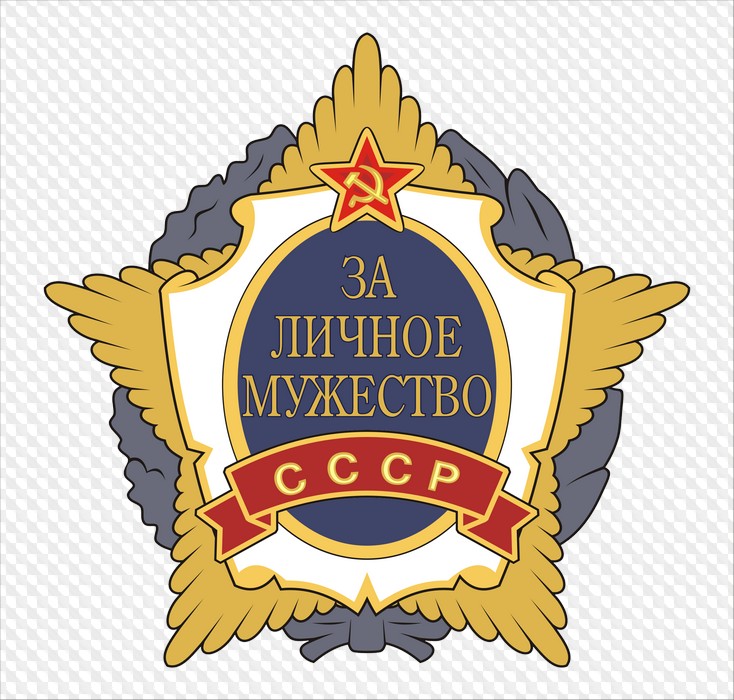 9 Мая PNG, PSD, Ленты, звезды, награды, декорации, салют, вечный огонь ...