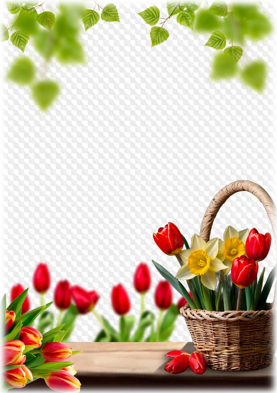 March 8th holiday, PSD Photo frame